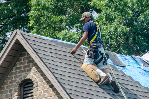 Professional Roofing Contractor in Piperton, TN